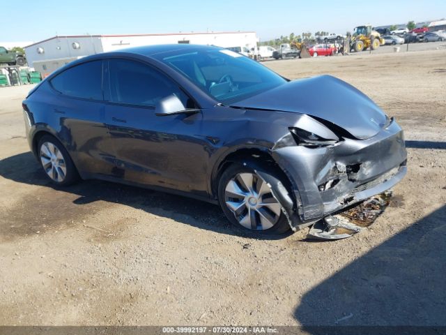 TESLA MODEL Y 2023 7saygdeexpf912871