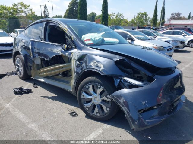 TESLA MODEL Y 2024 7saygdeexra238009