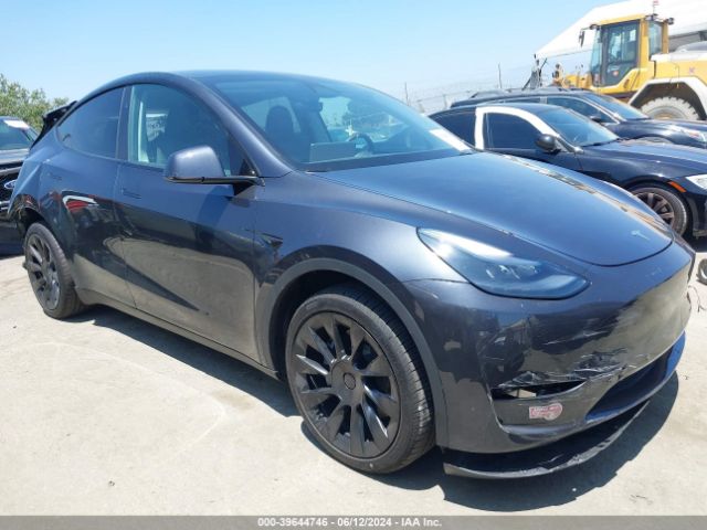 TESLA MODEL Y 2024 7saygdeexra244635