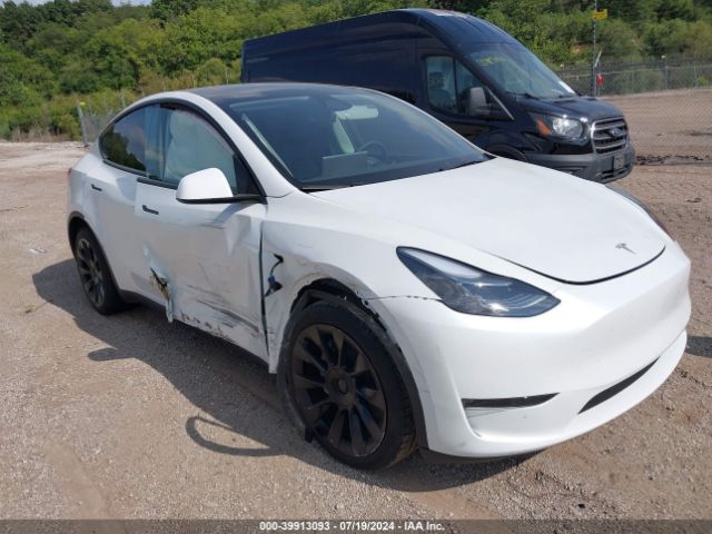 TESLA MODEL Y 2024 7saygdeexra291308