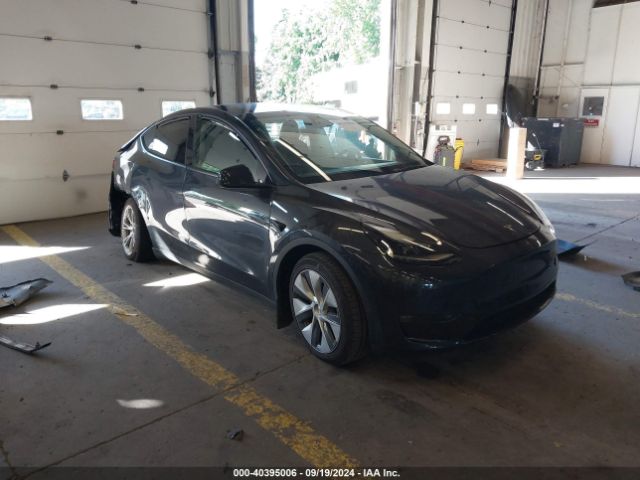 TESLA MODEL Y 2024 7saygdeexrf991414