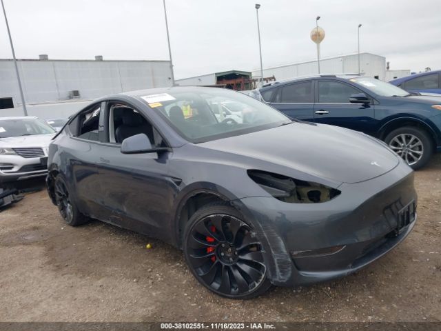 TESLA MODEL Y 2022 7saygdef0nf381993