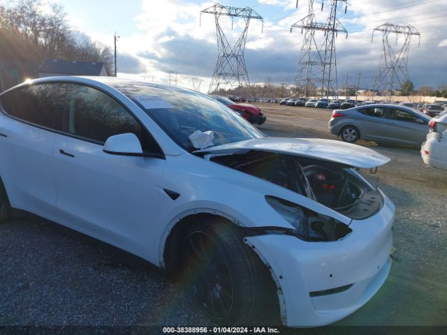 TESLA MODEL Y 2022 7saygdef0nf399362