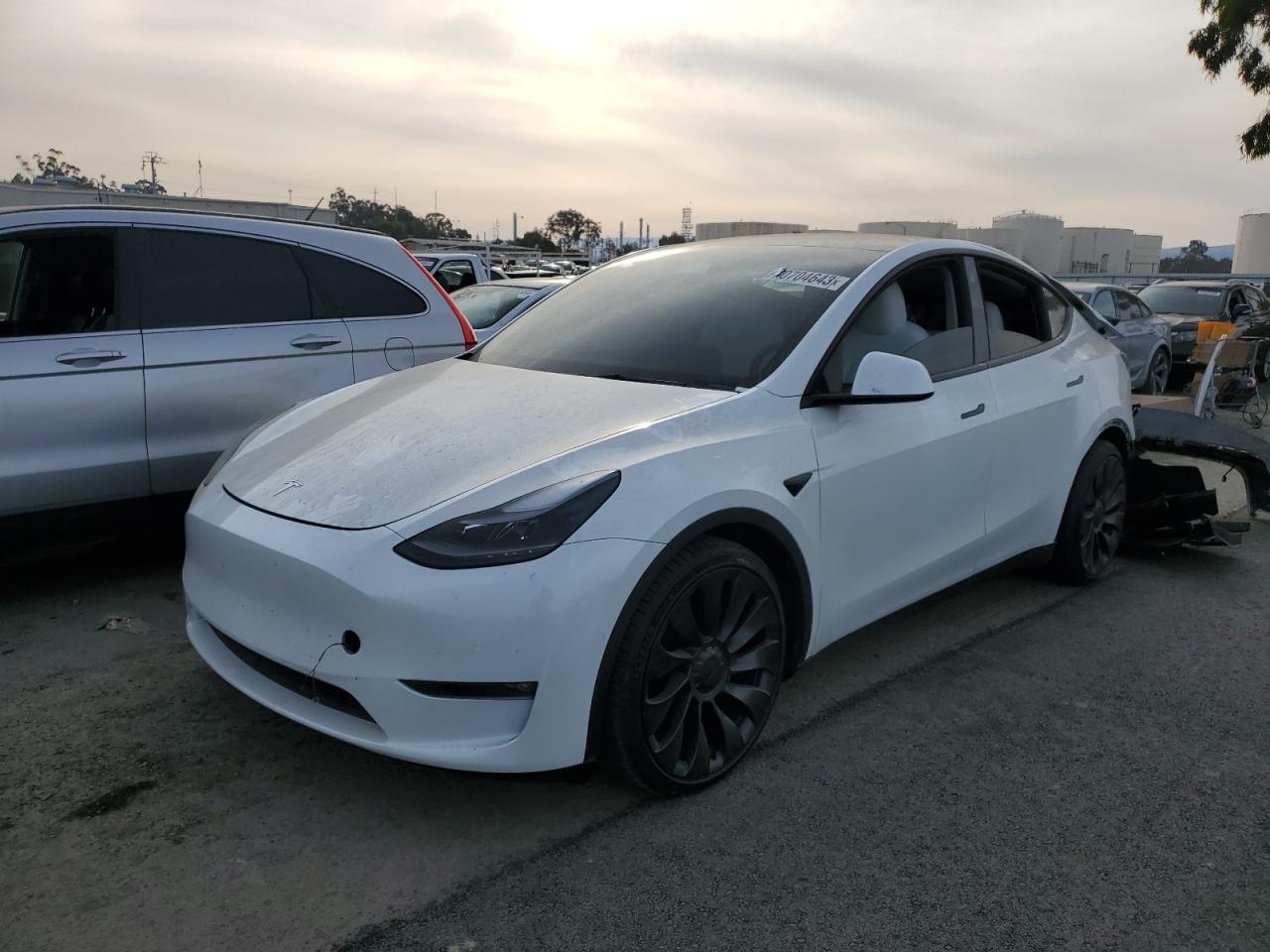 TESLA MODEL Y 2022 7saygdef0nf490051