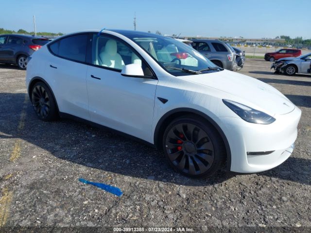 TESLA MODEL Y 2023 7saygdef0pf705172