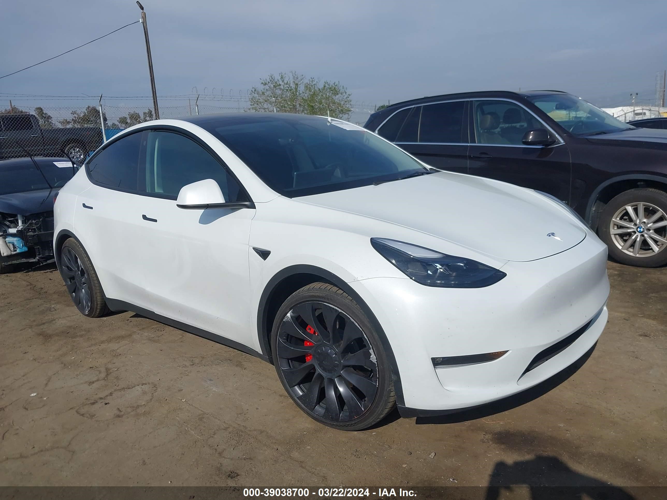 TESLA MODEL Y 2023 7saygdef0pf739757