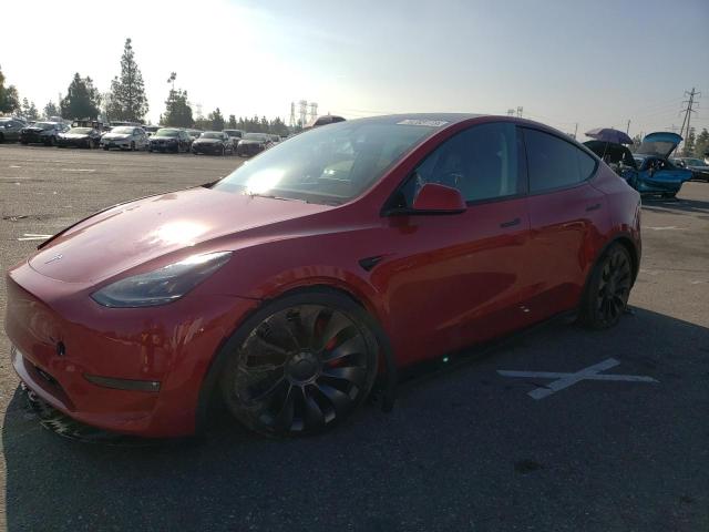 TESLA MODEL Y 2023 7saygdef0pf786352