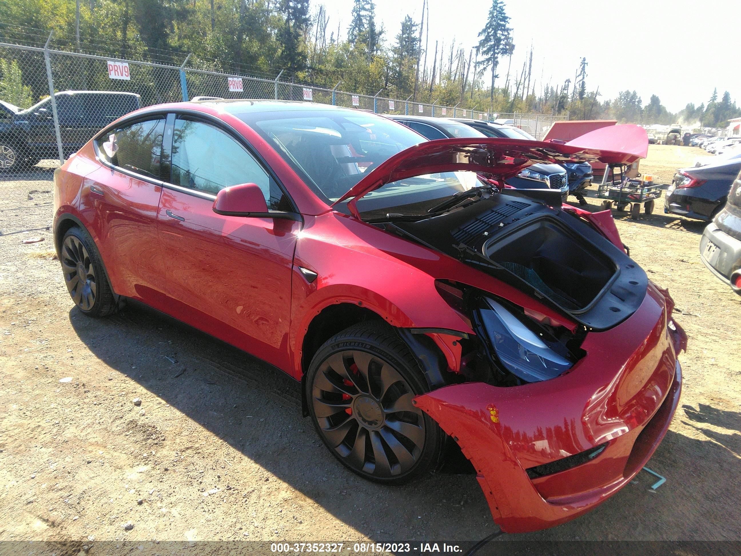 TESLA MODEL Y 2023 7saygdef0pf839132