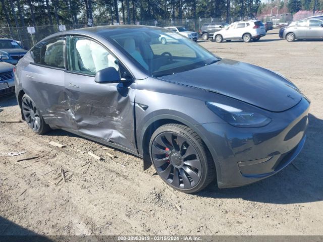 TESLA MODEL Y 2023 7saygdef0pf847215