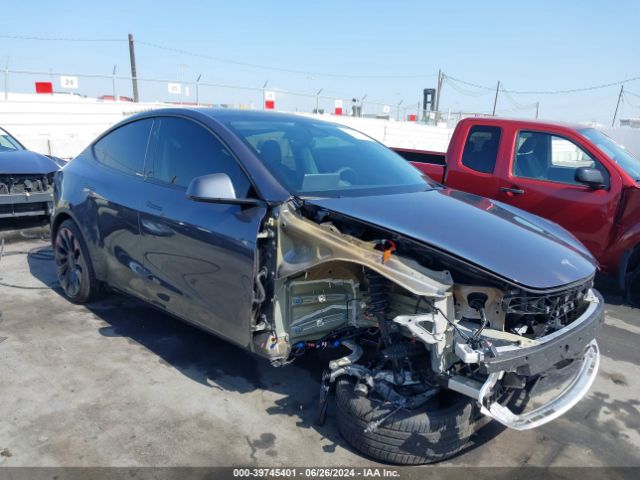 TESLA MODEL Y 2023 7saygdef0pf902388