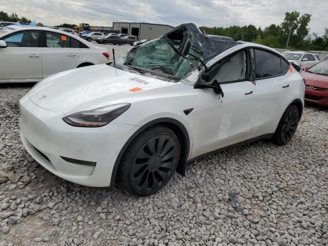 TESLA MODEL Y 2022 7saygdef1nf341292