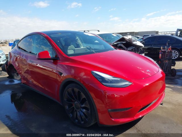 TESLA MODEL Y 2022 7saygdef1nf345634