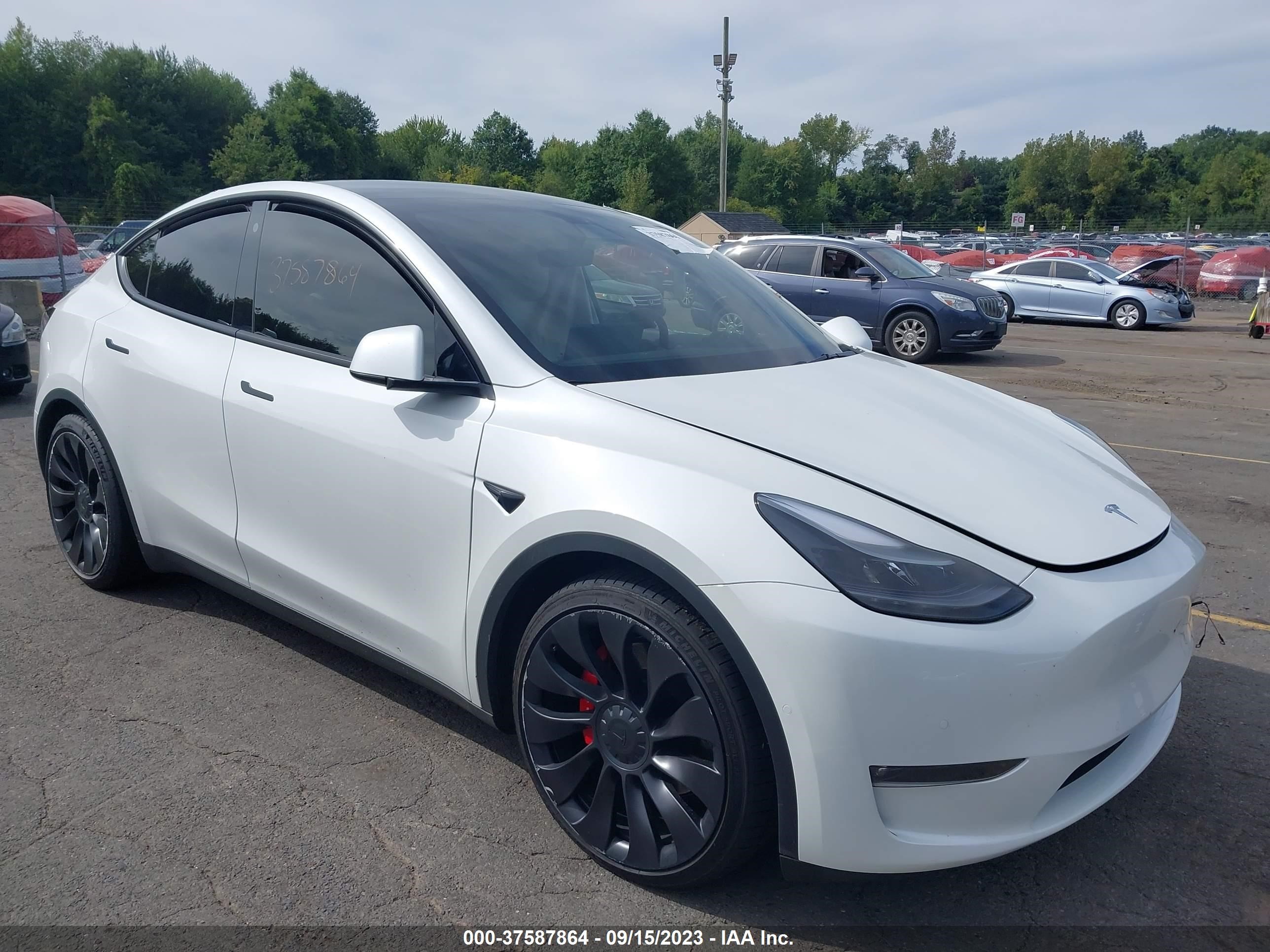 TESLA MODEL Y 2022 7saygdef1nf383106