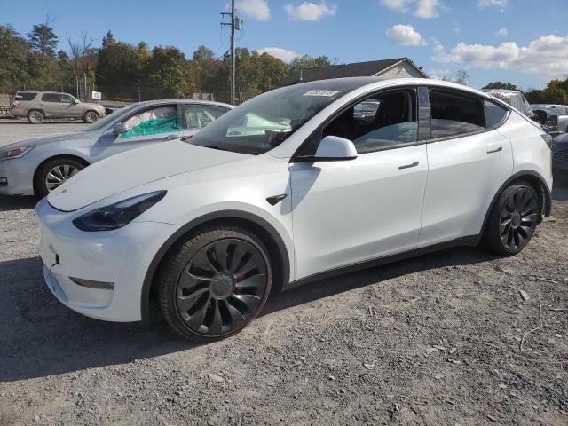 TESLA MODEL Y 2022 7saygdef1nf466356