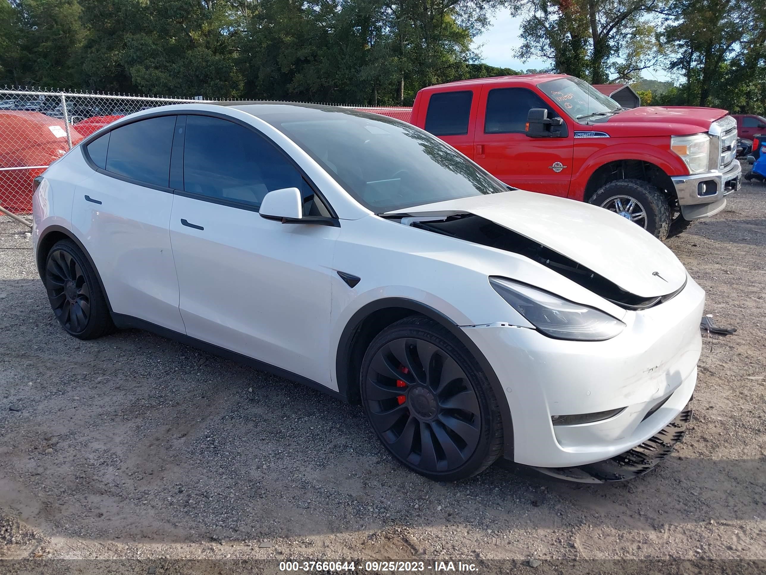 TESLA MODEL Y 2022 7saygdef1nf517189