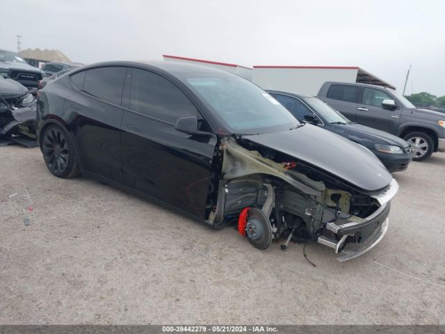 TESLA MODEL Y 2023 7saygdef1pf698720