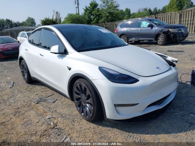 TESLA MODEL Y 2024 7saygdef1rf040382