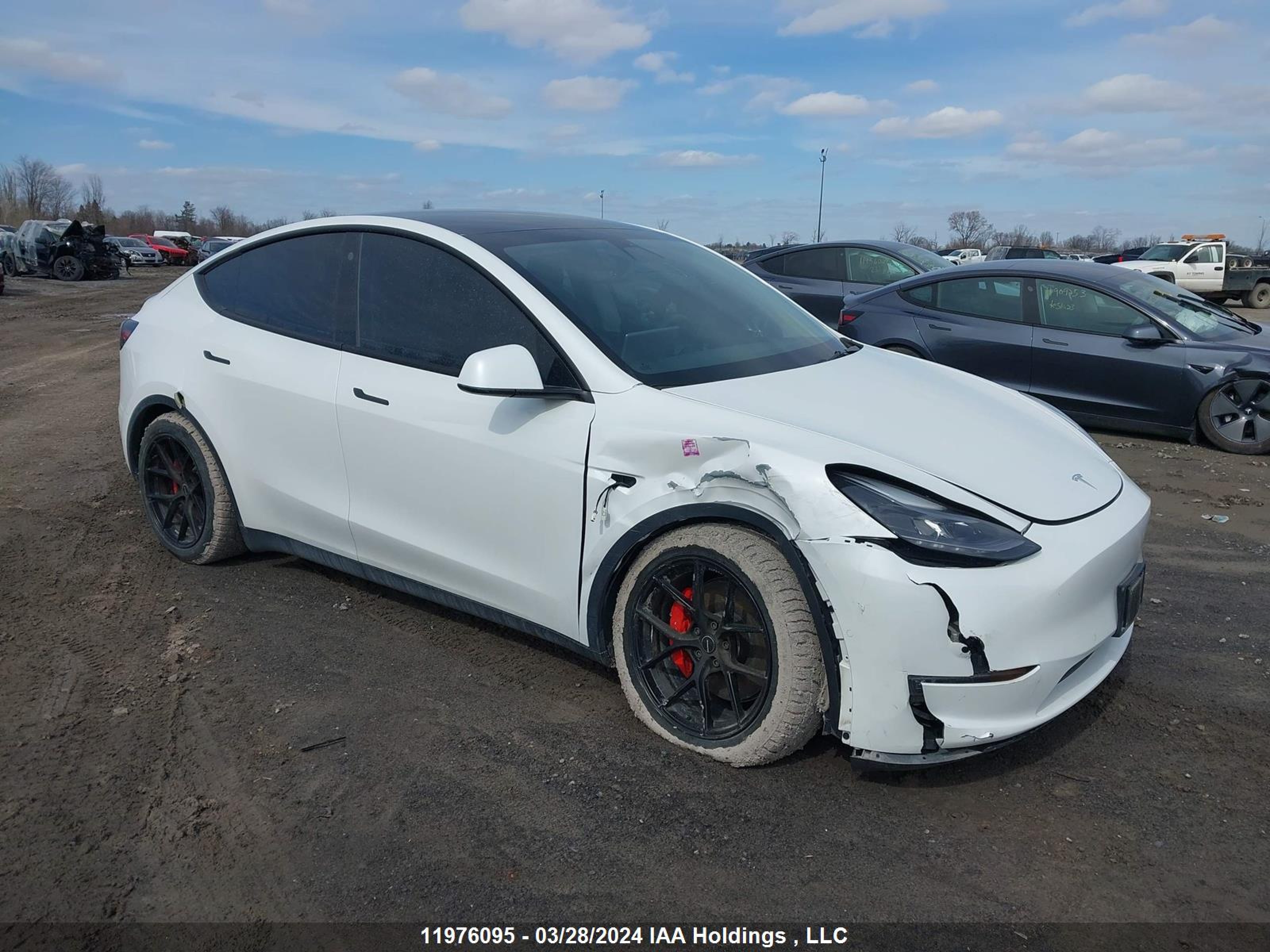 TESLA MODEL Y 2022 7saygdef2nf392624