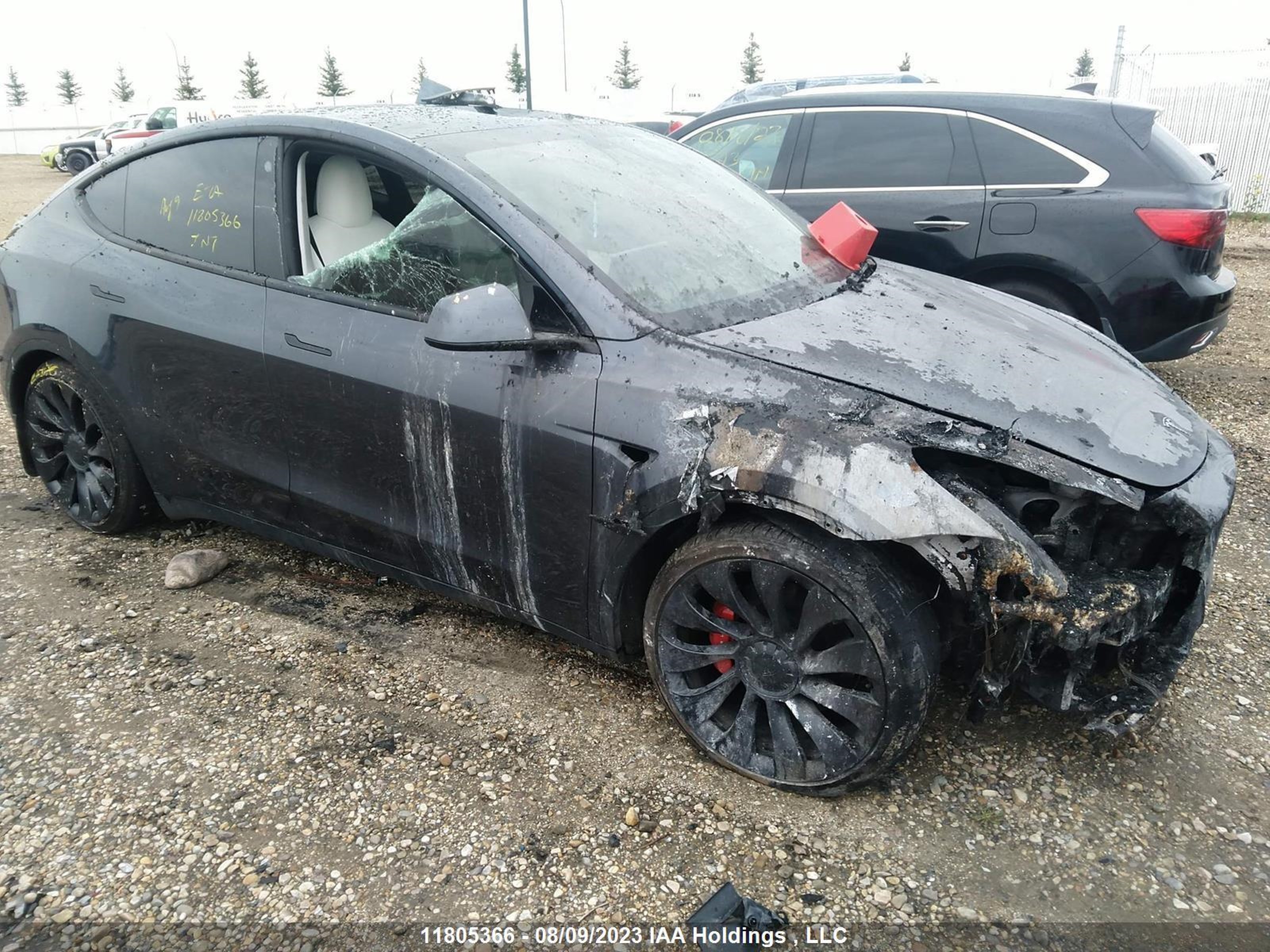 TESLA MODEL Y 2022 7saygdef2nf399265