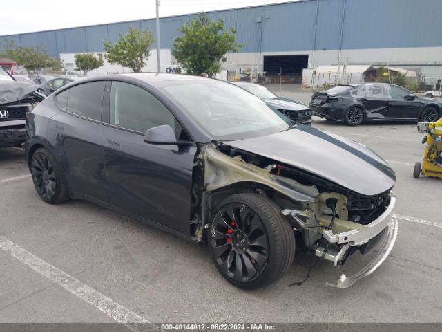 TESLA MODEL Y 2022 7saygdef2nf520926