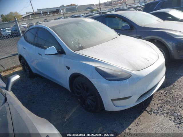 TESLA MODEL Y 2022 7saygdef2ns342094