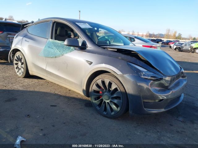 TESLA MODEL Y 2023 7saygdef2pf593751