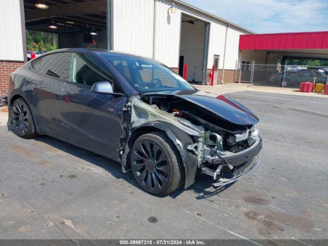 TESLA MODEL Y 2023 7saygdef2pf700605