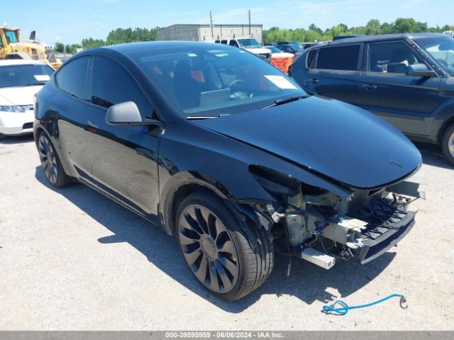 TESLA MODEL Y 2023 7saygdef2pf957442