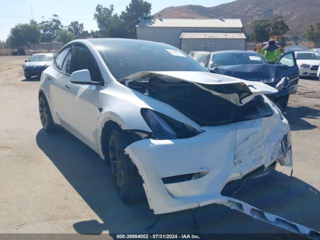 TESLA MODEL Y 2024 7saygdef2rf045204