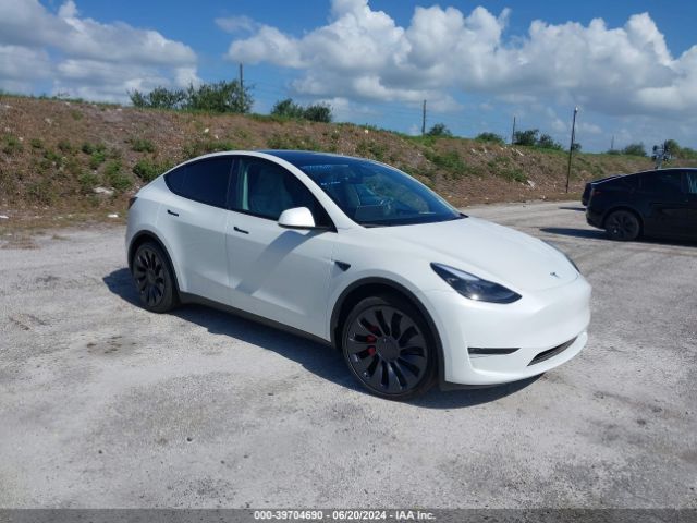 TESLA MODEL Y 2024 7saygdef2rf064903