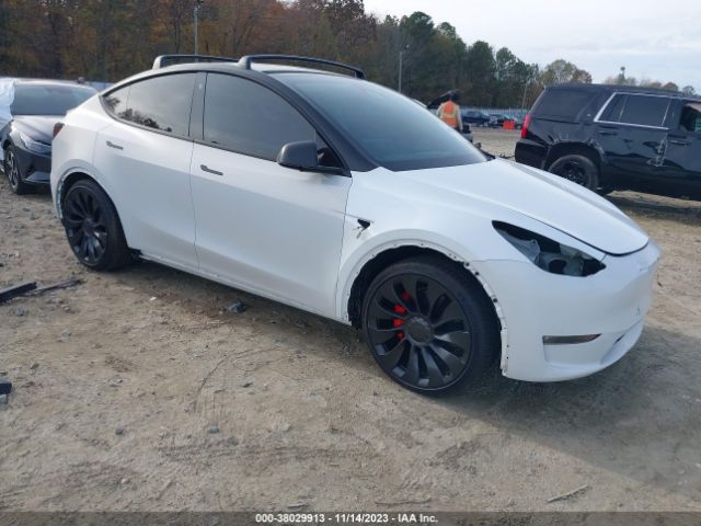 TESLA MODEL Y 2022 7saygdef3nf511717