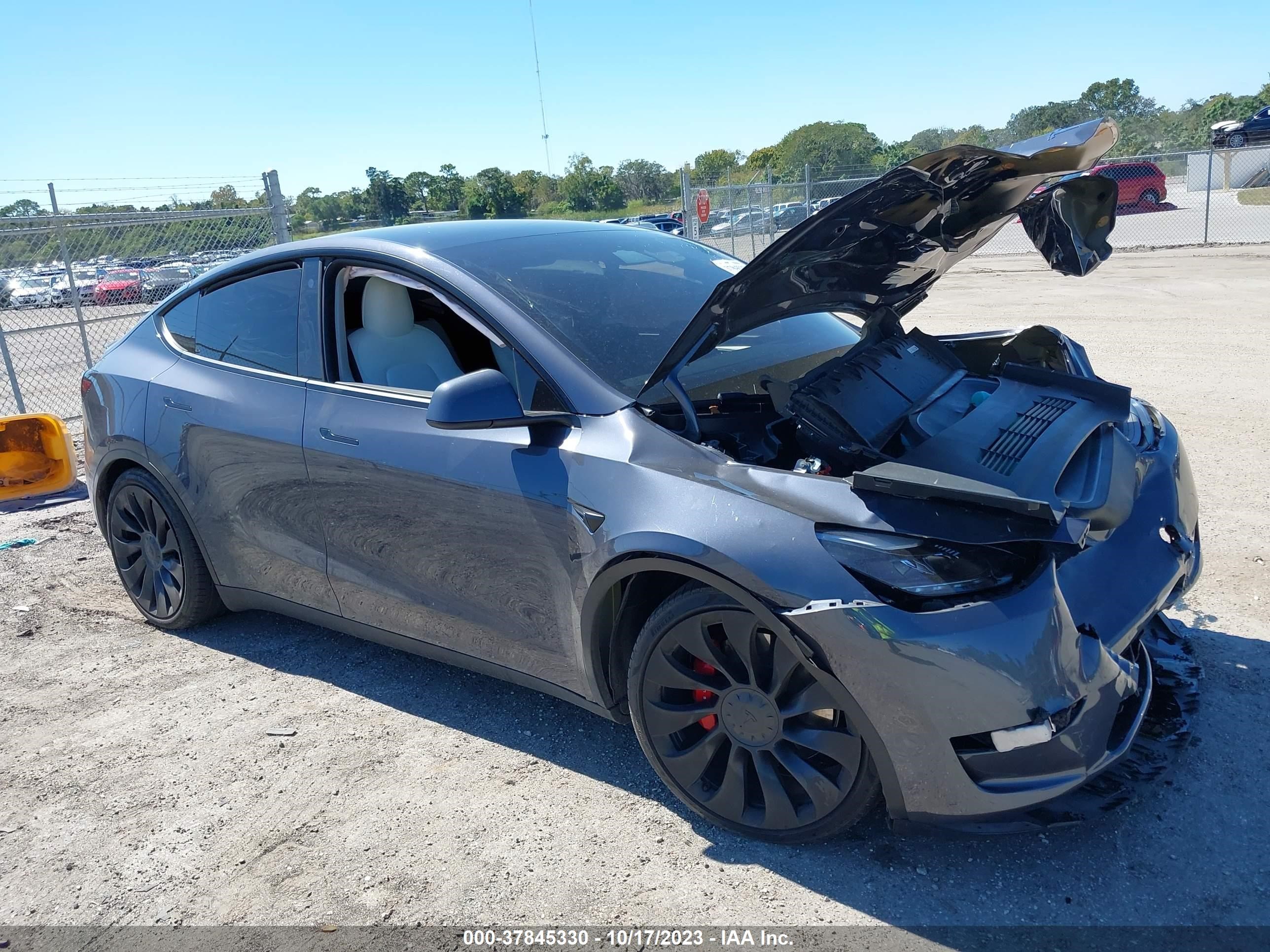 TESLA MODEL Y 2023 7saygdef3pf600867