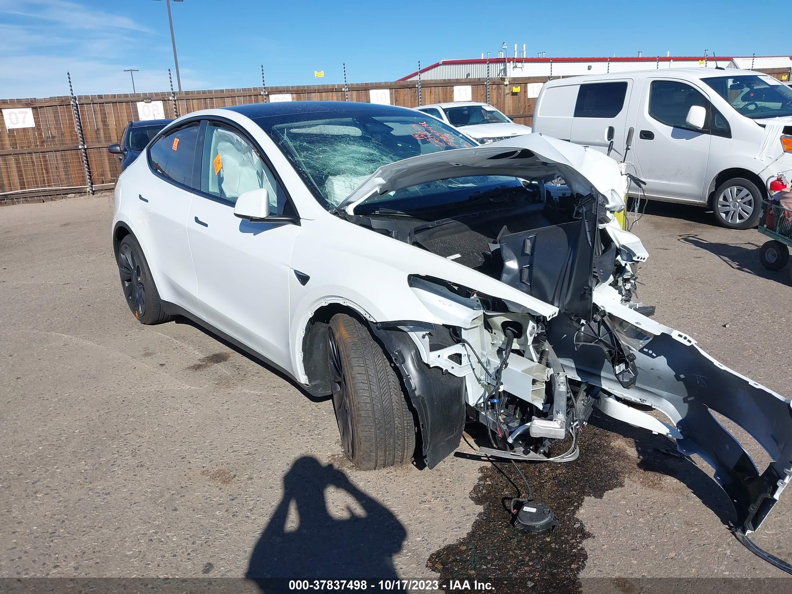 TESLA MODEL Y 2023 7saygdef3pf829811