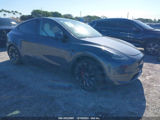 TESLA MODEL Y 2023 7saygdef3pf869838