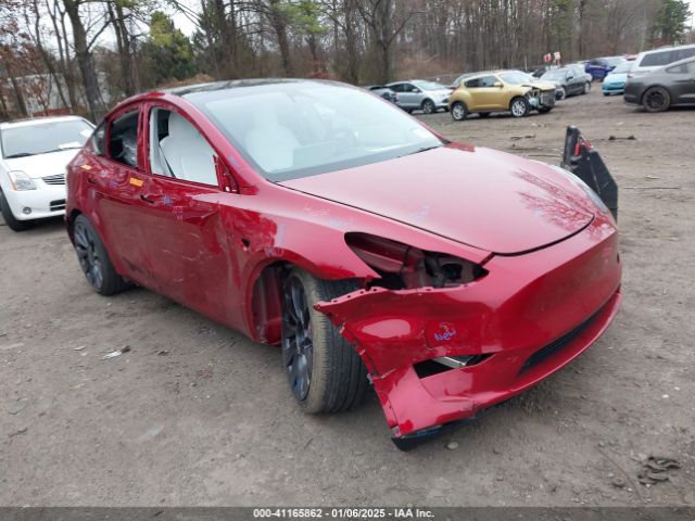 TESLA MODEL Y 2024 7saygdef3ra321483