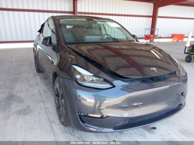 TESLA MODEL Y 2024 7saygdef3rf022191