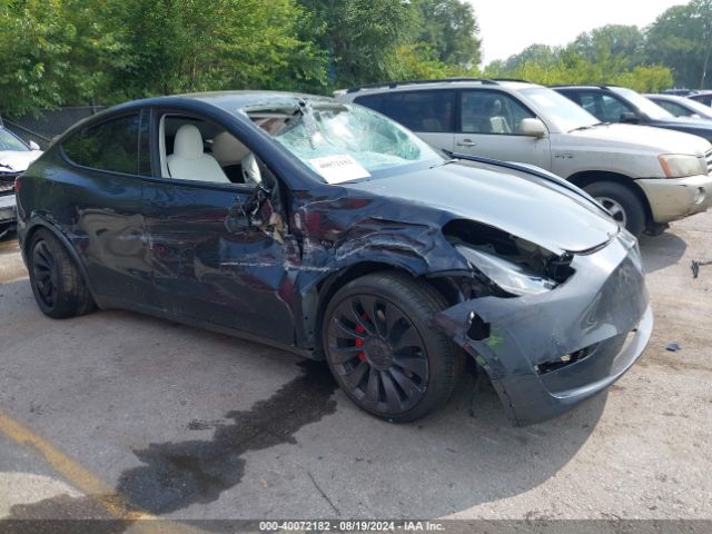 TESLA MODEL Y 2024 7saygdef3rf022885