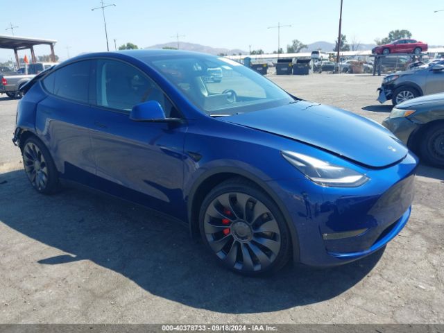 TESLA MODEL Y 2024 7saygdef3rf059368