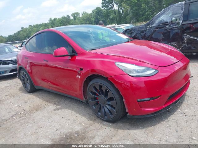 TESLA MODEL Y 2021 7saygdef4nf327130