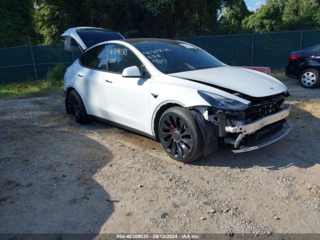 TESLA MODEL Y 2022 7saygdef4nf378255