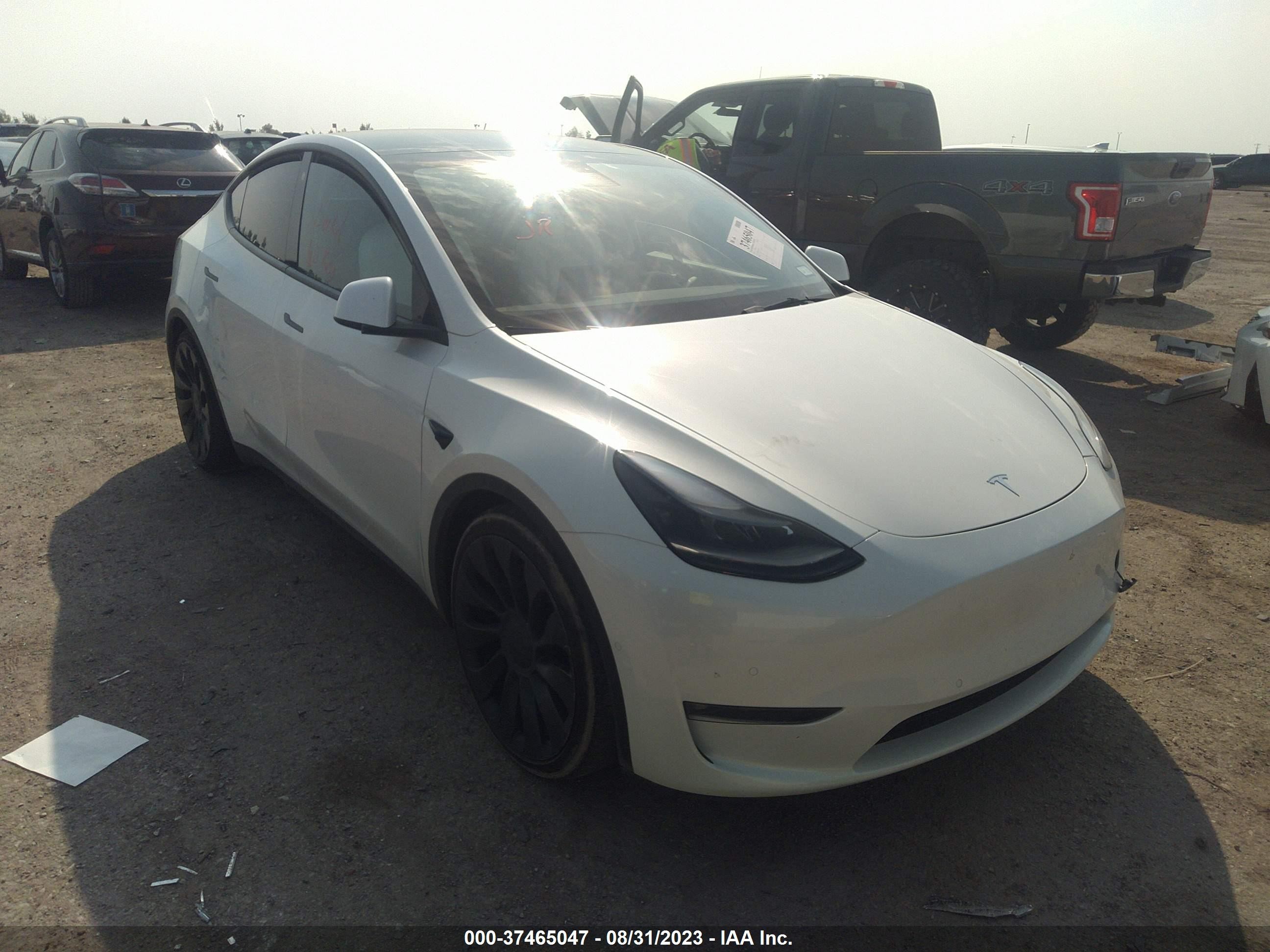 TESLA MODEL Y 2022 7saygdef4nf392799