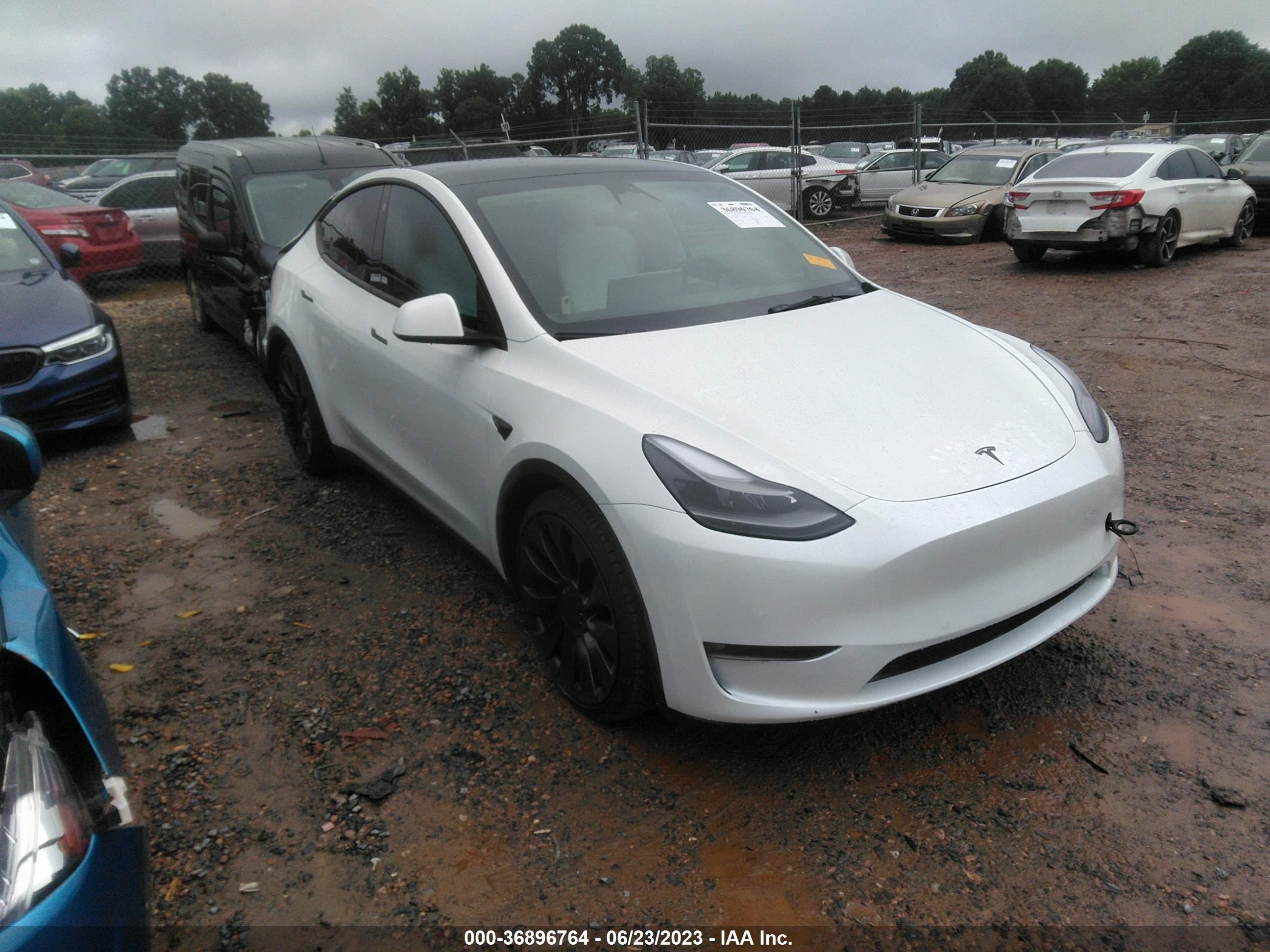 TESLA MODEL Y 2022 7saygdef4nf516330