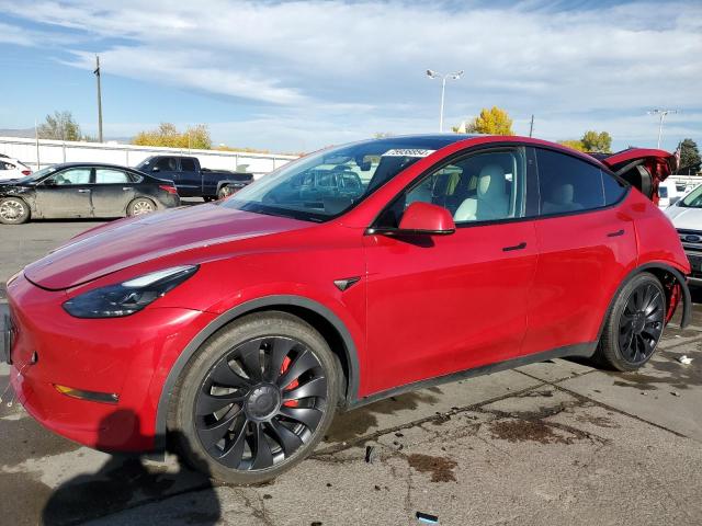 TESLA MODEL Y 2022 7saygdef4nf547187