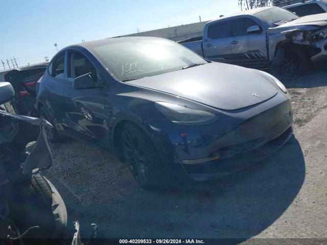 TESLA MODEL Y 2023 7saygdef4pf761535