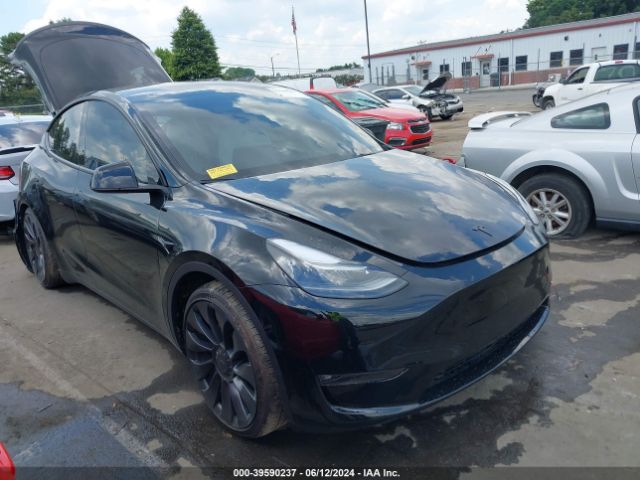 TESLA MODEL Y 2023 7saygdef4pf774236