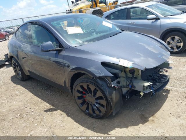 TESLA MODEL Y 2023 7saygdef4pf809700