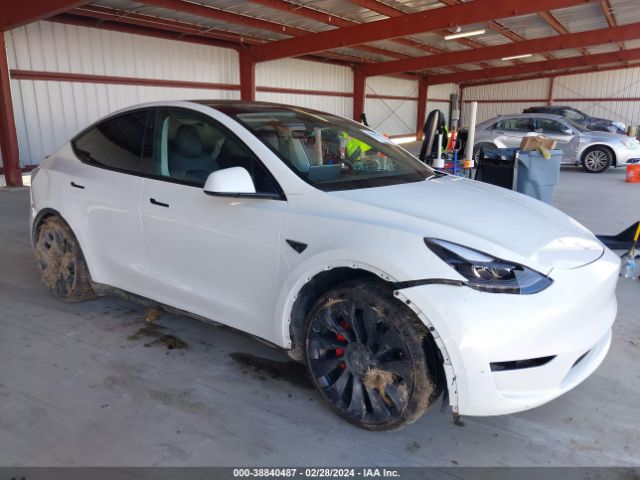 TESLA MODEL Y 2023 7saygdef4pf880816