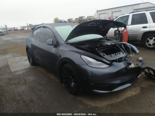 TESLA MODEL Y 2023 7saygdef4pf906735