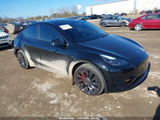 TESLA MODEL Y 2023 7saygdef4pf962268