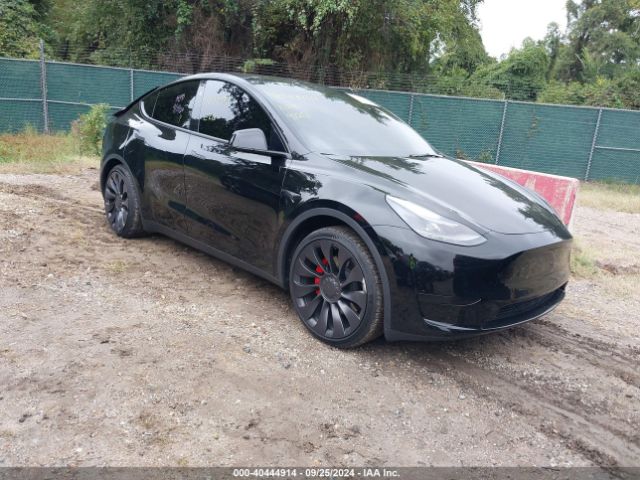 TESLA MODEL Y 2024 7saygdef4ra265473